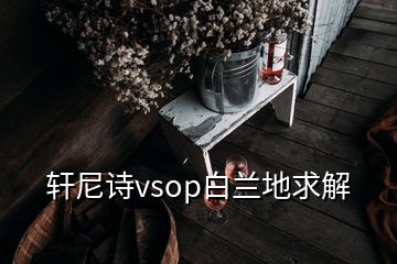 轩尼诗vsop白兰地求解