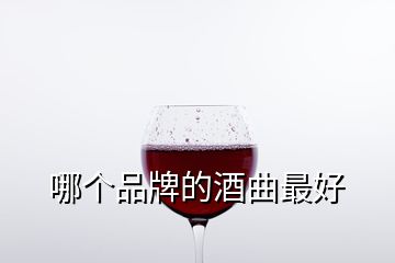 哪个品牌的酒曲最好