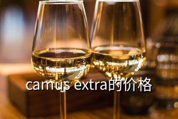 camus extra的价格