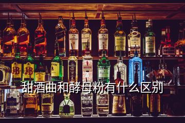 甜酒曲和酵母粉有什么区别