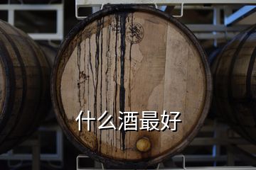 什么酒最好