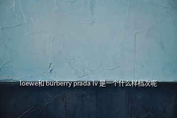 loewe和 burberry prada lv 是一个什么样档次呢