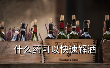 什么药可以快速解酒