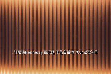 轩尼诗Hennessy 百乐廷 干邑白兰地 700ml怎么样