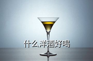 什么洋酒好喝