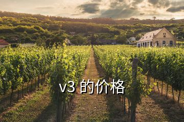 v3 的价格