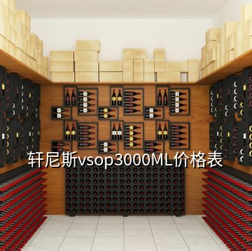 轩尼斯vsop3000ML价格表