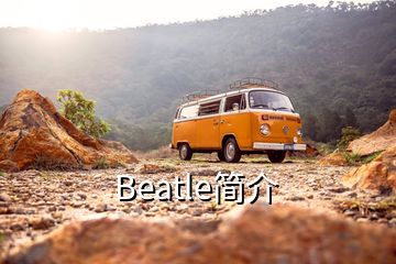 Beatle简介