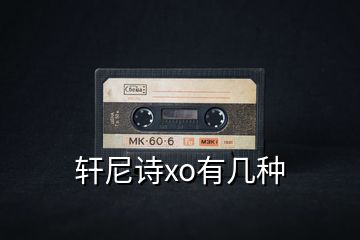 轩尼诗xo有几种