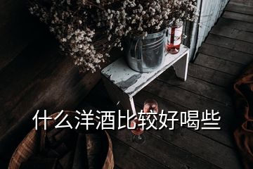 什么洋酒比较好喝些