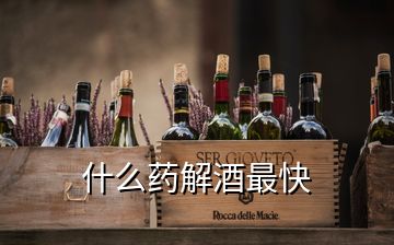 什么药解酒最快