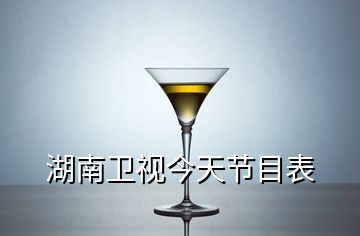 湖南卫视今天节目表