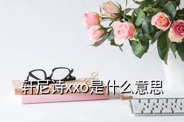 轩尼诗xxo是什么意思