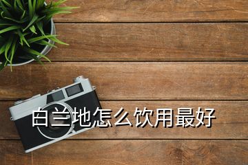 白兰地怎么饮用最好