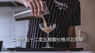 二十年五十二度五粮酿价格河北邯郸