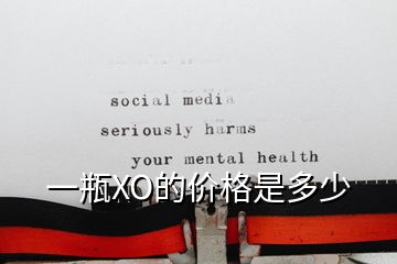 一瓶XO的价格是多少