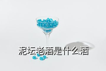 泥坛老酒是什么酒