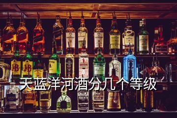 天蓝洋河酒分几个等级