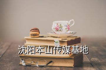 沈阳本山传媒基地