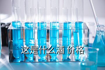 这是什么酒 价格