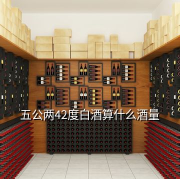 五公两42度白酒算什么酒量