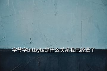 字节字bitbyte是什么关系我已经晕了