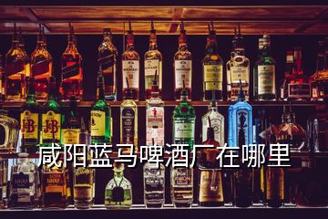 咸阳蓝马啤酒厂在哪里