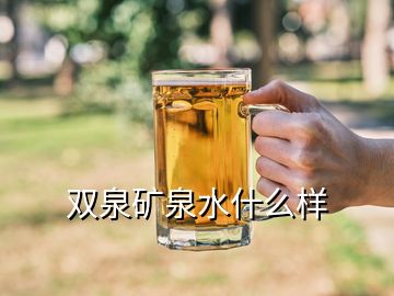 双泉矿泉水什么样