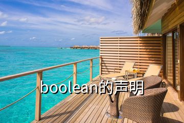 boolean的声明