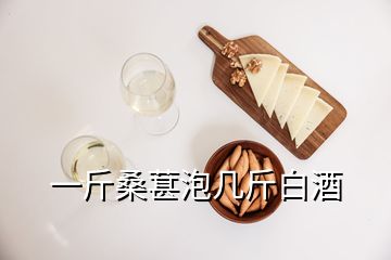 一斤桑葚泡几斤白酒