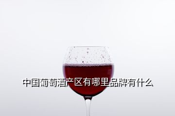 中国葡萄酒产区有哪里品牌有什么