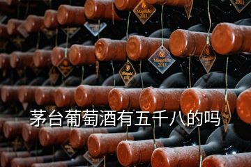 茅台葡萄酒有五千八的吗