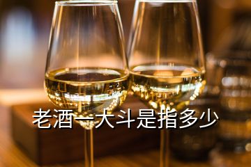 老酒一大斗是指多少