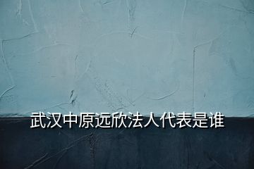 武汉中原远欣法人代表是谁