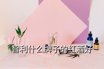 智利什么牌子的红酒好