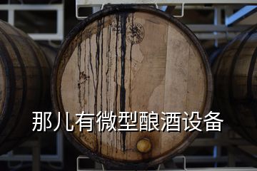 那儿有微型酿酒设备