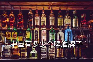 中国有多少个啤酒牌子