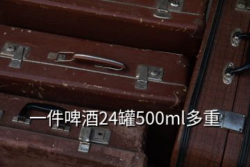 一件啤酒24罐500ml多重