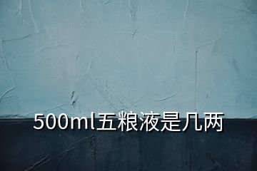 500ml五粮液是几两