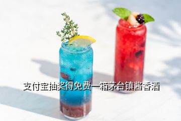 支付宝抽奖得免费一箱茅台镇酱香酒