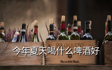 今年夏天喝什么啤酒好