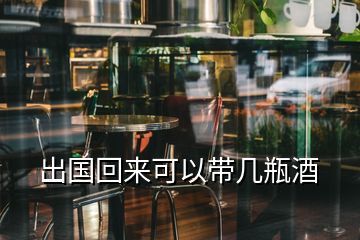 出国回来可以带几瓶酒