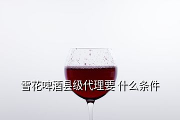 雪花啤酒县级代理要 什么条件