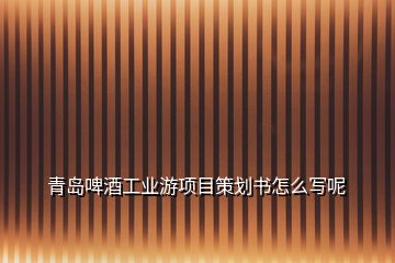 青岛啤酒工业游项目策划书怎么写呢