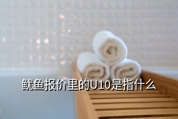 鱿鱼报价里的U10是指什么