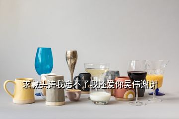 求藏头诗我忘不了我还爱你吴伟谢谢