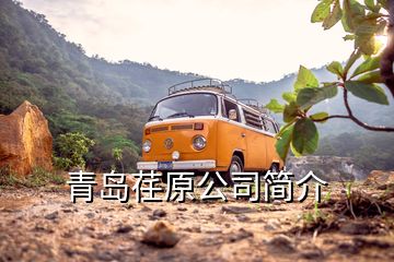 青岛荏原公司简介