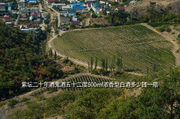 紫坛二十年酒鬼酒五十二度500ml浓香型白酒多少钱一瓶