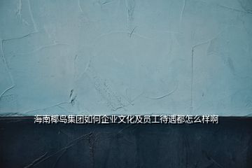 海南椰岛集团如何企业文化及员工待遇都怎么样啊