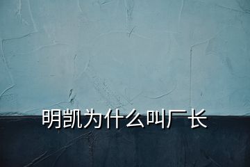 明凯为什么叫厂长